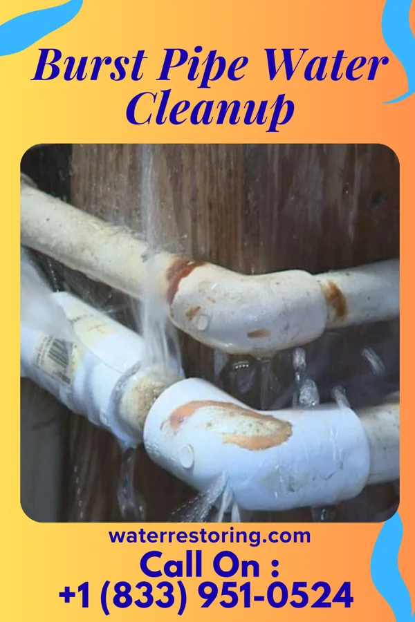 Burst Pipe Water Cleanup in East Prospect, PA