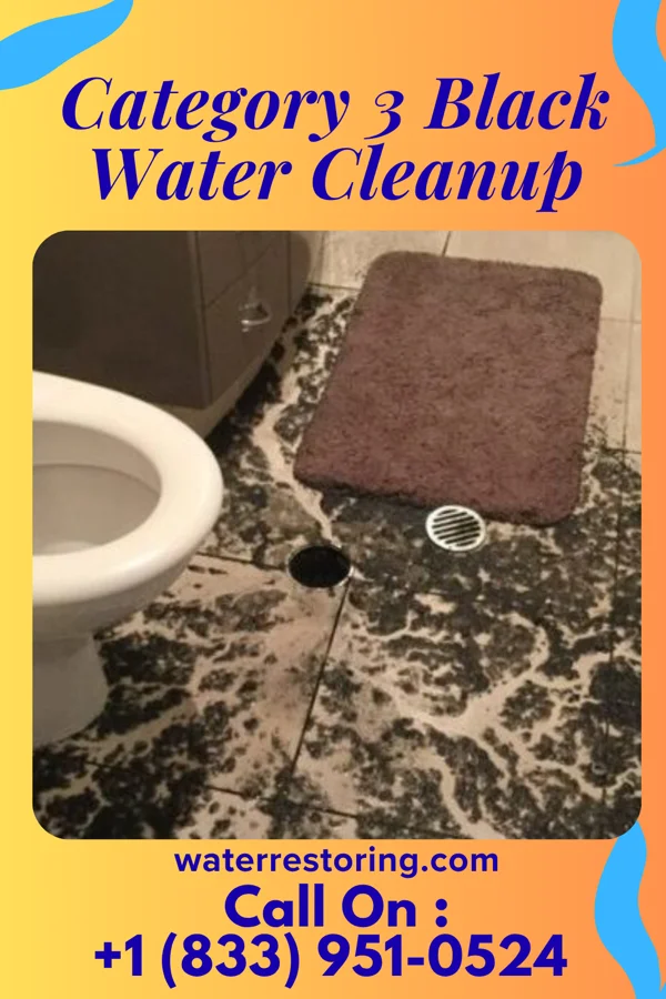 Category 3 Black Water Cleanup in East Prospect, PA