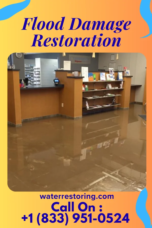 Flood Damage Restoration in East Prospect, PA