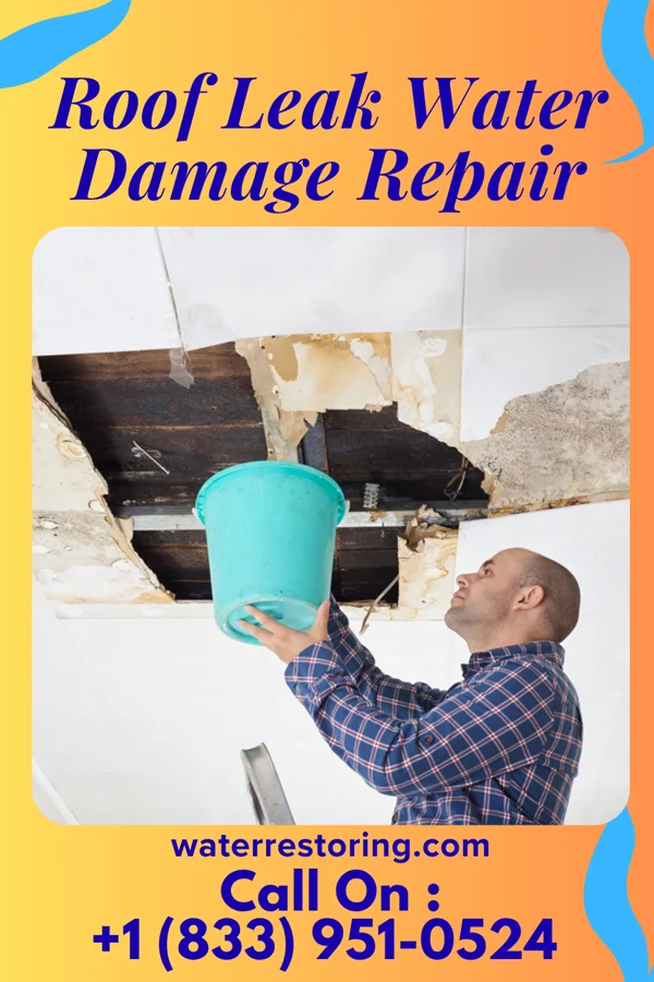 Roof Leak Water Damage Repair in East Prospect, PA