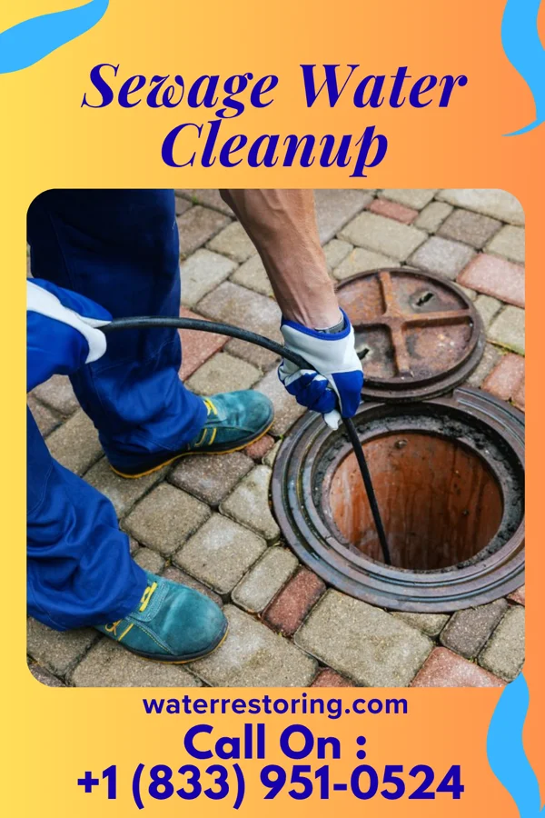 Sewage Water Cleanup in East Prospect, PA