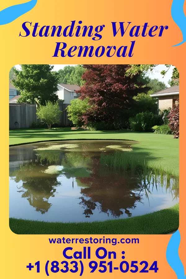 Standing Water Removal in East Prospect, PA